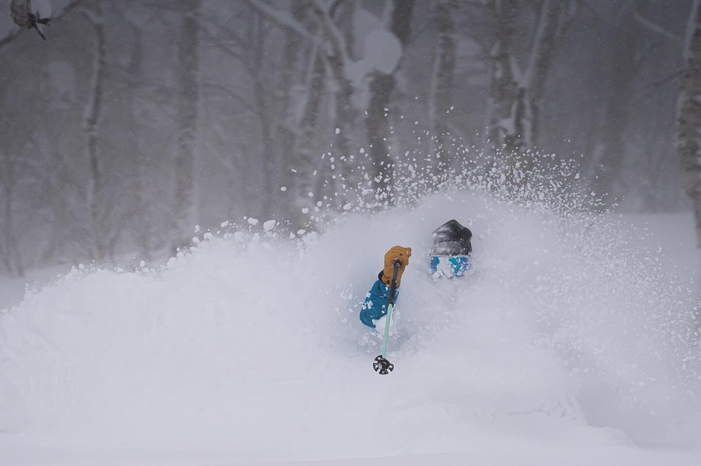 JAPOW! — The Deepest Powder on Earth — Lotte Arai Resort, Myoko, Japan